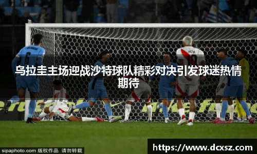 熊猫体育网页版