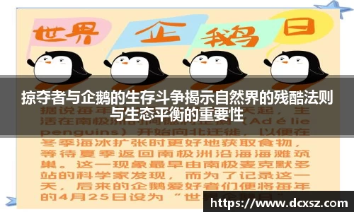 熊猫体育